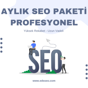 Aylık Seo Paketi - Profesyonel Paket