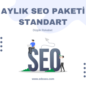Aylık Seo Paketi - Standart Paket