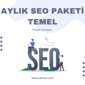 Aylık Seo Paketi - Temel Paket